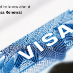 All you need to know about UAE Visa Renewal